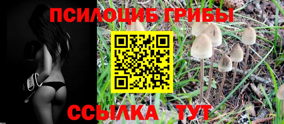 Галлюциногенные грибы Cubensis  Галлюциногенные грибы Cubensis  Вход с VPN  Гулькевичи 